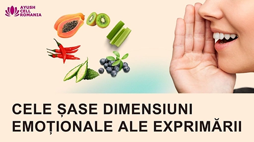 Cele șase dimensiuni emoționale ale exprimării