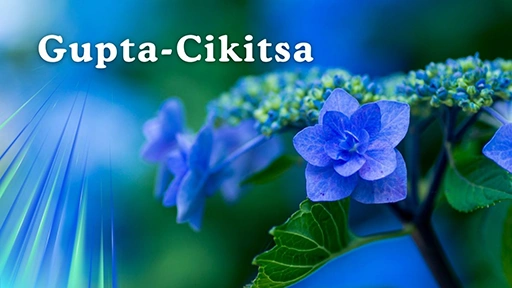 TMedicina secretă – Gupta-Cikitsa