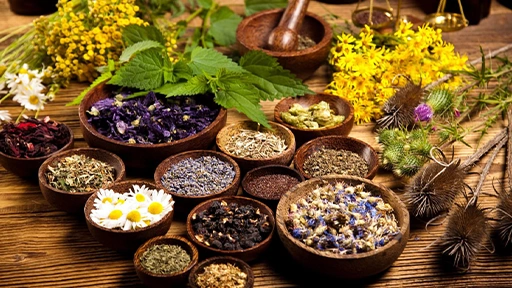 Explorări tematice - Perspective istorice fitoterapie