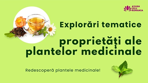 Explorări tematice în lumea plantelor medicinale